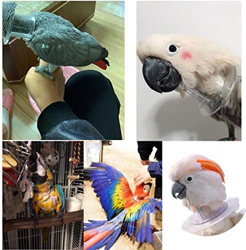 Colarinho anti-bite de papagaio de estimação de estimação, anti-grab lamber lambida de folhagem na segurança da segurança do colar