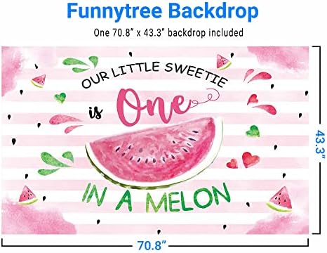 Funnytree Watermelon Backdrop Summer One em um melão Substituição de chá de bebê Supplies Banner Decoration Pink Our Little Sweetie é uma fotografia Photobooth Prop