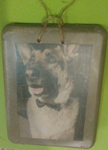 Sua foto memorial de animais de estimação impressa no concreto um presente de imagem ideal para donos de cães e amantes de