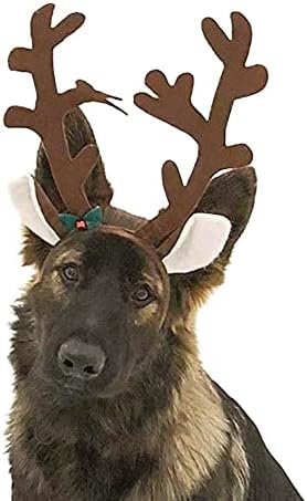 Midlee Brown Reideer Dog Antlers Bandas com Jingle Bell-Pet Christmas Costume