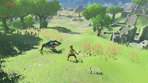 The Legend of Zelda: Breath of the Wild Expansion Pass - Nintendo Switch [Código Digital]