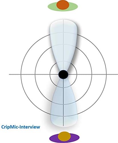 Vocalife LLC-Interview Crispmic: Microfone de matriz USB altamente direcional da IA ​​com cancelamento de ruído mais redução