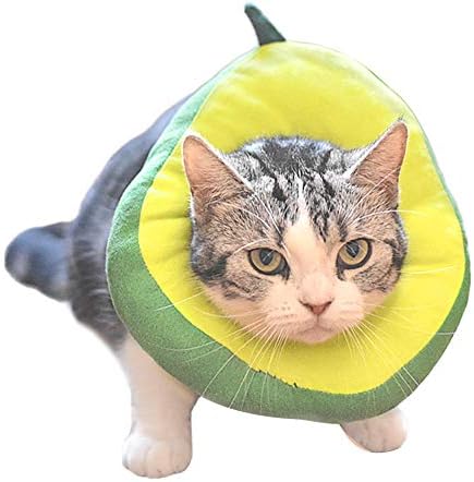 Amakunft Ajuste Cole de cone de gato macio, colar de recuperação de gatos, cone para gato após cirurgia, cone de pescoço