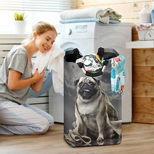 Yyzzh Pug Dog Animal em cobertor Cinzento Cinzento Cabe