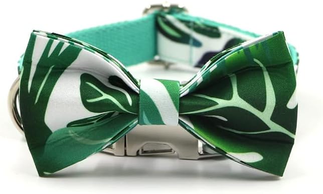 Cola de cachorro xiulaiq com nomes gravado folhas verdes imprimindo colarinho elegante e coleira com gravata borboleta colarinho de