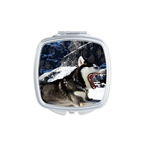 Big Mouth Dog Snow Husky Picture Mirror Portátil Compact Pocket Makeup Double lides Glass