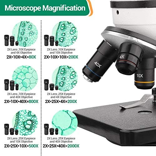 Kit de microscópio Bnise para crianças e estudantes, ampliação 40x-2000x, kit de slides preparados, iluminação de Dual LED, toda