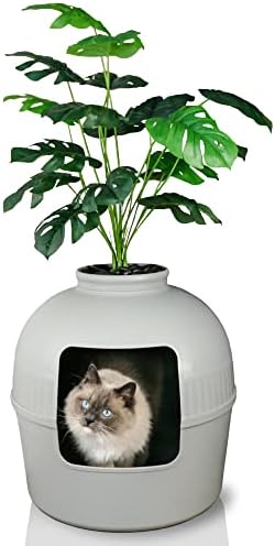 Caixa de areia escondida de animais de estimação BJF e decoração de casa de planta de monstera de monstera, decoração