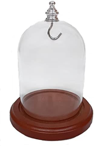 3 x 4 Pocket Watch Glass Display Dome cloche, botão de prata e gancho, base manchada de nogueira