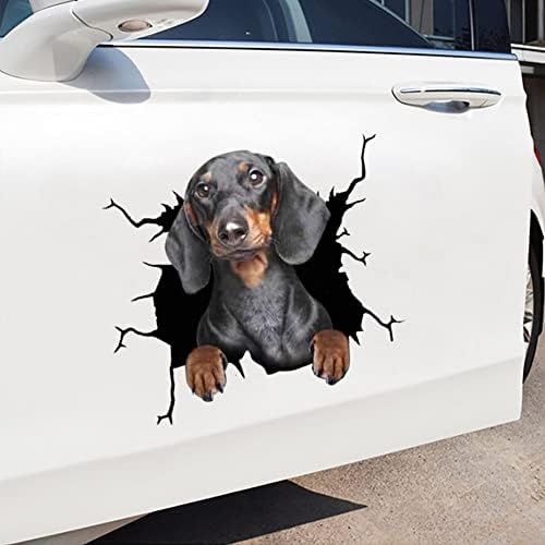 Decalques de carro ikasus, adesivos para carros de cachorro pacote de 4,3d adesivo de decoração de decalques para cães para