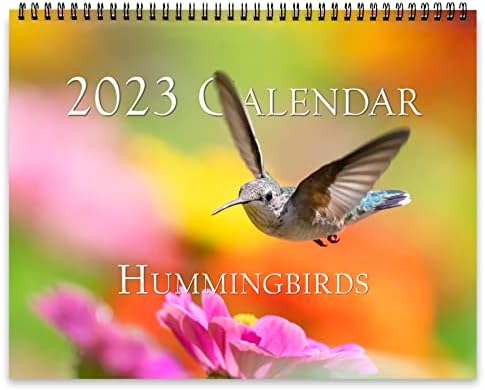 Trogografia Hummingbirds 2023 Calendário de parede | Belo calendário da vida selvagem, multicolorida