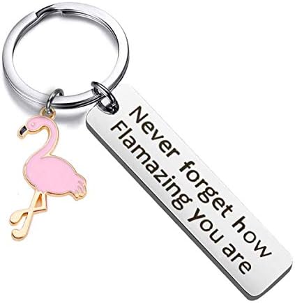 Chaveiro motivacional do flamingo nunca esqueça o quão flamazing você é o chaveiro de joias de amante de flamingo para amantes de animais da BFF da família