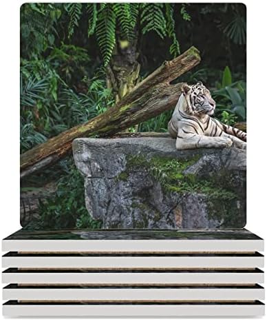Tigre branco Rest em montanhas -russas da floresta para bebidas tape de xícara quadrada com base de cortiça 6pcs