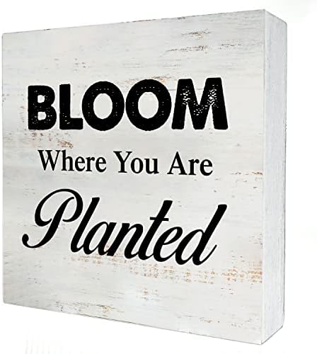 Bloom onde você é plantado decoração de mesa de placas de caixa de madeira de 5 x 5 polegadas Caixa de fazenda Placa de madeira de