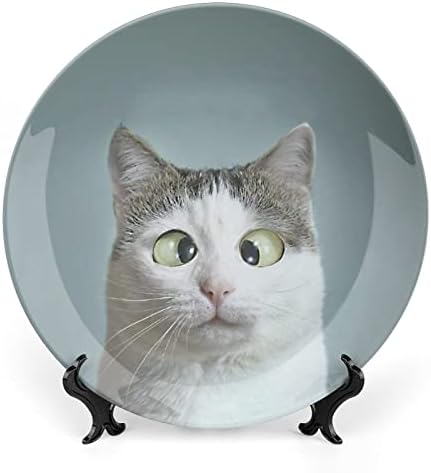 Placa de decoração de china de design vintage de gato de olho engraçado com uma placa decorativa de placa decorativa de stand