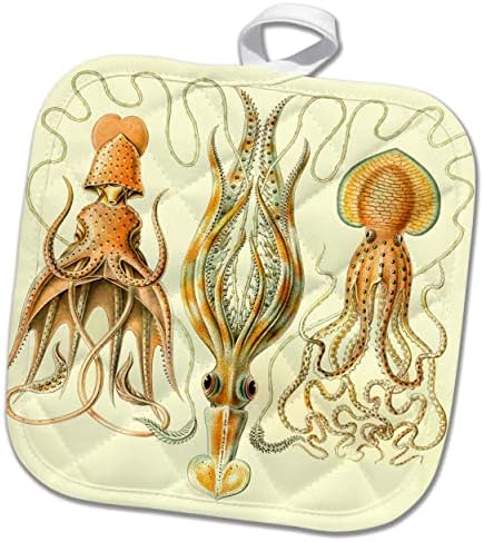 3drose octopus arte imprimir polpi e lulas raças espécies maric maric mar. - Potholders
