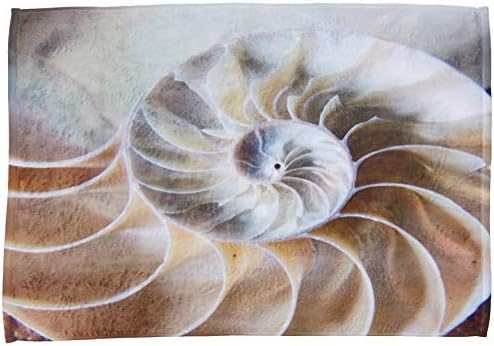3d Rose Nautilus Shell Toalha, 15 x 22, branco