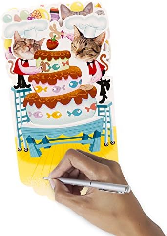 Hallmark Funny Pop Up Day Card com música, número do modelo: 899MDL2063