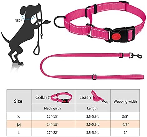 Martingale Dog Collar and Leash Defina colares de martingale para cães de colarinho refletivo Martingale para cães pequenos