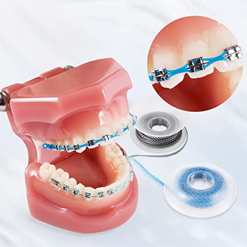 Annhua Dental Orthodontic Elastic Chain, ortodôntico Spool Sçoel elástico Elastic Elastic Rubber Band Power para aparelhos