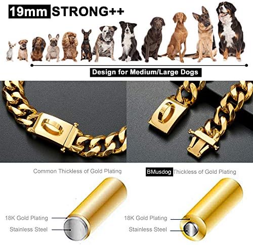 Colar de gola de corrente de cães de ouro colar de corrente de metal com fivela segura, 18k Link Cuban Link Forte Heavy Duty Proof para cães médios