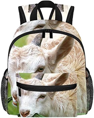 Mochila de laptop VBFOFBV, mochila elegante de mochila de mochila casual bolsa de ombro para homens, mulheres pastando cabras