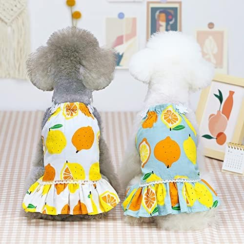 Honprad Camisa de cachorro pequena menina conjunto vestidos de estimação Primavera e verão Cothes Primavera e verão Cute Pet Supplies