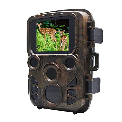Câmera de caça à visão noturna de Ajeerd 12MP 1080p Câmera de esportes de vida selvagem 0,45 segundos Mini Câmera à prova d'água ao ar livre