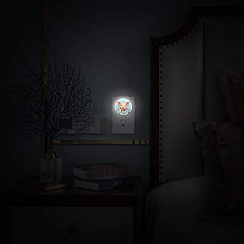 Luz noturna de LED com porco vestido como descolados, plugue de luz noturna na parede com o Dusk-to-Dawn Sensor 4 Pack
