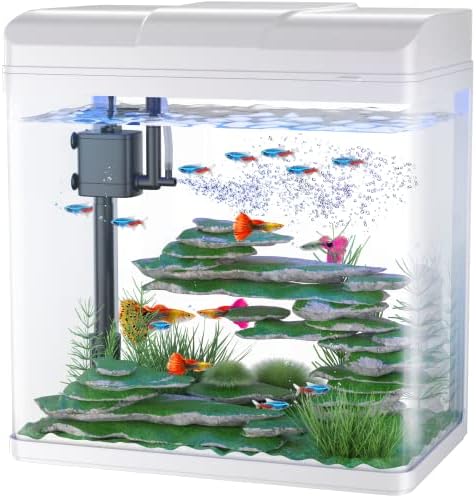 Pondon 5 galões de peixe tanque, aquário de vidro com bomba de ar, 2 cores leves e filtro, kit de partida de aquário de peixe