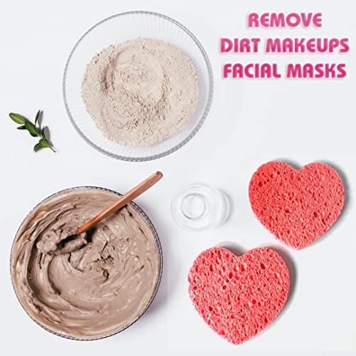 Esponjas faciais compactadas de 60 contagens | Esponjas faciais de celulose | Esponjas de spa cosméticas naturais