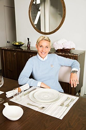 Royal Doulton Ed Ellen DeGeneres criou esmalte escovados de 16 peças conjunto de utensílios brancos