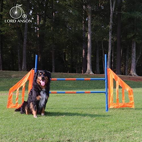 Lord Anson Dog Agilidade Jump - Equipamento de agilidade para cães - Grau de competição Gump de agilidade ajustável - Hurdle de