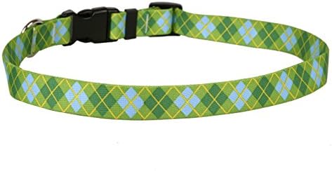 Design de cachorro amarelo, colar de cachorro verde limão, grande 1 de largura e se encaixa no pescoço 18 a 28