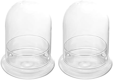 Doitool 2pcs Terrarium cúpula jarra de vidro Dome mini bolo suporte de vidro Vibre Dome Cloche Clear Glass Bell Jar Tampa para