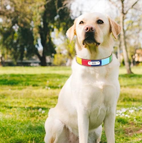 Colorido colarinho de cachorro colorido de gola personalizada pescoço de petrap gravado tag idist colar para acessórios médios grandes para cães m/l/xl