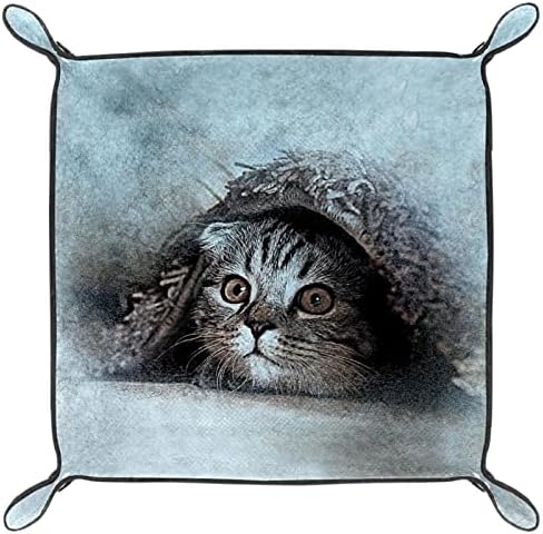 Tacameng Cute Animal Cat Pintura, caixa de armazenamento Bandeja de manobrista de couro pequeno bandeja de suportes do