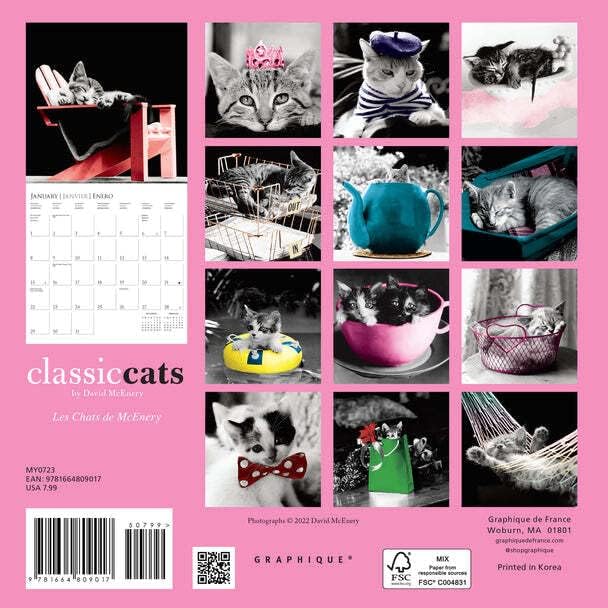 Graphique 2023 Classic Cats Mini Wall Calendário | 7 ”x 7” | Papel grosso | Organizador de casa e escritório | Grande grade mensal | 3 idiomas e feriados marcados | Página de visualização de 4 meses para 2024