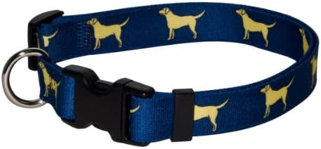 Design de cão amarelo colar de cachorro amarelo com etiqueta de identificação de etiqueta-long System-small-3/4 de largura e se