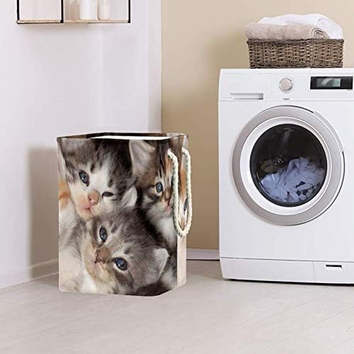 Unicey Baby Cats Laundry Horseping Casket Casket para Bin Super