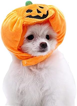 Yolsun Cat Halloween Fantaspume de abóbora Puppy Kitten Pumpkin Hat counchd para Halloween Cosplay Dress Up Up