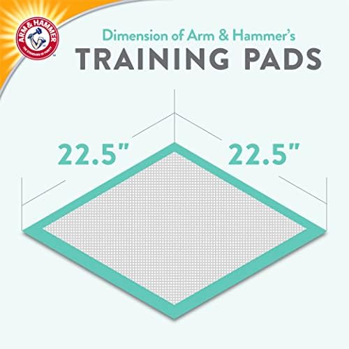 Arm & Hammer Green Tea Pet Training Pads | Almofadas de treinamento de cães de 50 CT com super absorvendo chá verde