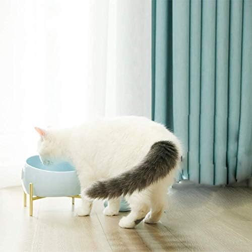 Tigela de cachorro de gato cerâmica inclinada albolet, ângulo inclinado e comida de cão e tigela de água, prato de gato inclinado,