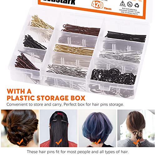 Rustark 420pcs 2 estilos kit de pinos de cabelo com caixa de armazenamento, inclui pães de cabelo em forma de bobby