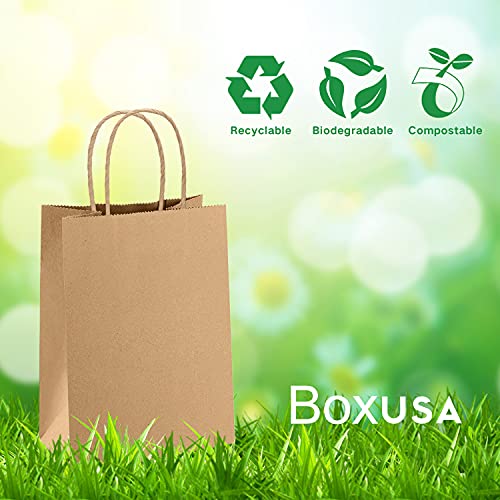 Bolsa de papel Boxusa 8x4.25x10.5 Brown 110pcs sacos de presente de tamanho médio sacos de papel com alças, sacos de kraft