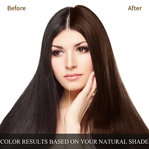 Shampoo de tinta de cabelo castanho escuro para cabelos grisalhos shampoo de cor de cabelo instantâneo 3 em 1 para mulheres