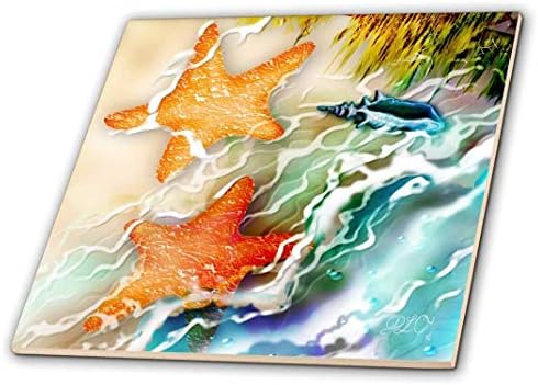 3D levantou duas estrelas do mar e concha perto do oceano ao longo do litoral de cerâmica de arte digital, multicolor