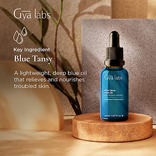 Óleo de face azul tansy para pele sensível e soro da árvore do chá para o conjunto de rosto - 2x1 fl oz - Gya Labs
