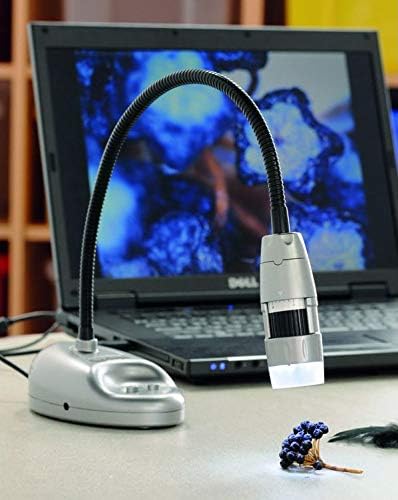 BEE-BOT FLEXI-SCOPE Digital USB Kids Microscope 10x-200x Portão, portátil, mini | Gravador, câmera com 6 luzes LED