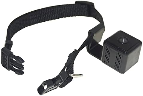 Digital Pet Collar Cam Camera DVR Video Video Recorder Monitor para cachorrinho cachorrinho Little Size Size Use Black
